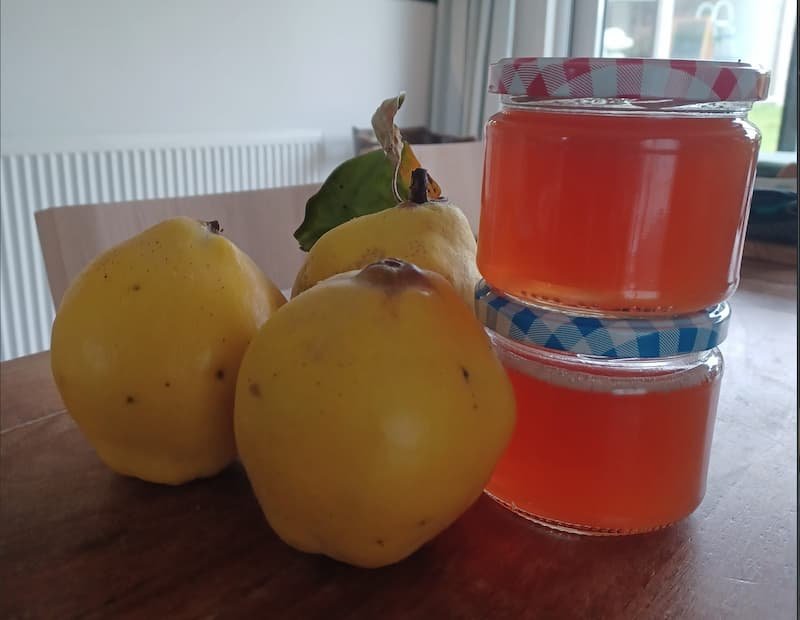 Kweeperen en confituur 2