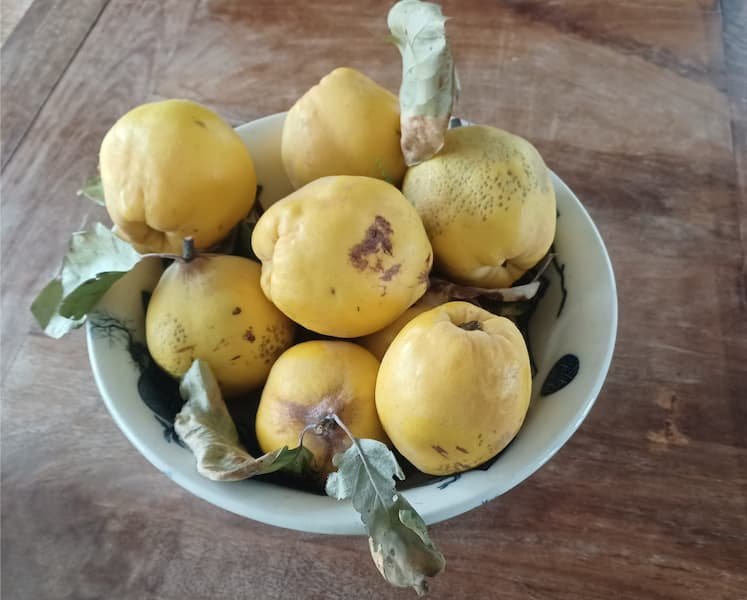 Kweeperen in een schaal